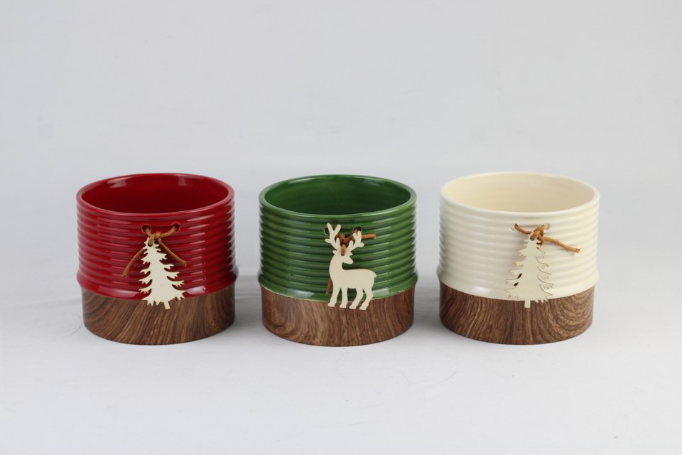 Christmas planter assortment with coordinated festive colors, holiday motifs and gift packaging